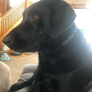 Meet your Posher, Carrie